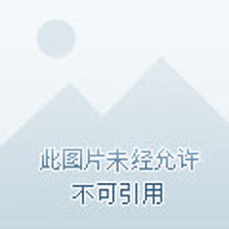 如何为你的莱芜本地企业打造一个专业且吸引人的网站？