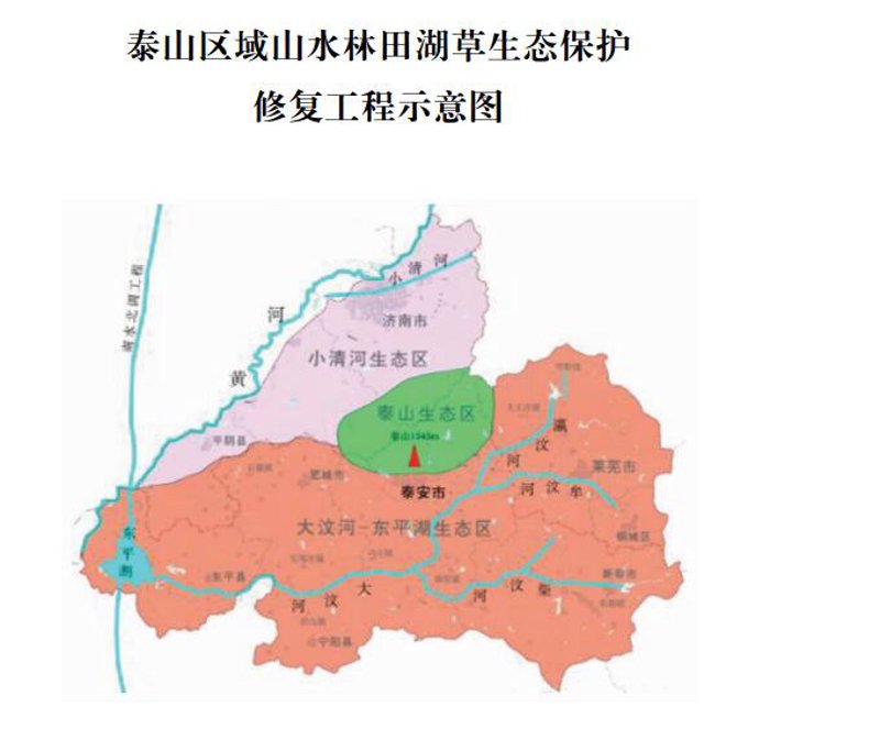 莱芜做网站:选择哪家公司更明智?